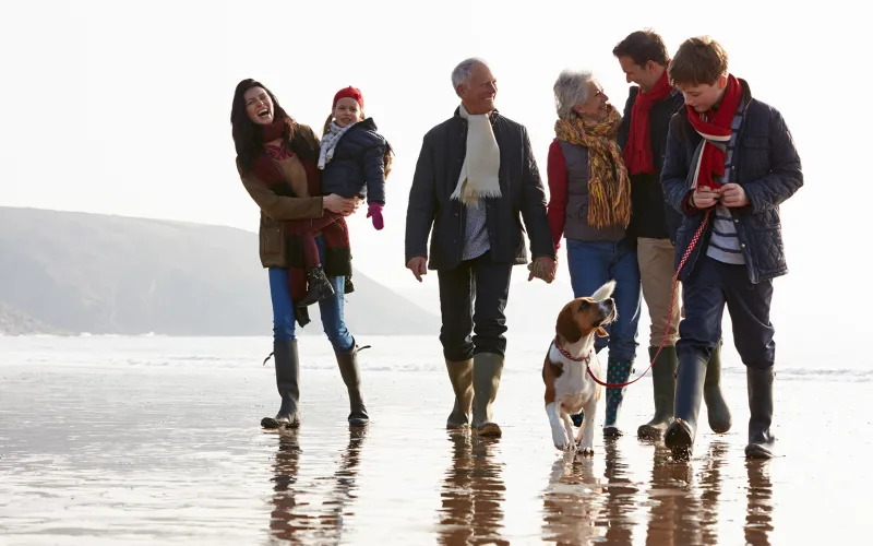 Family walking on the beach with dog