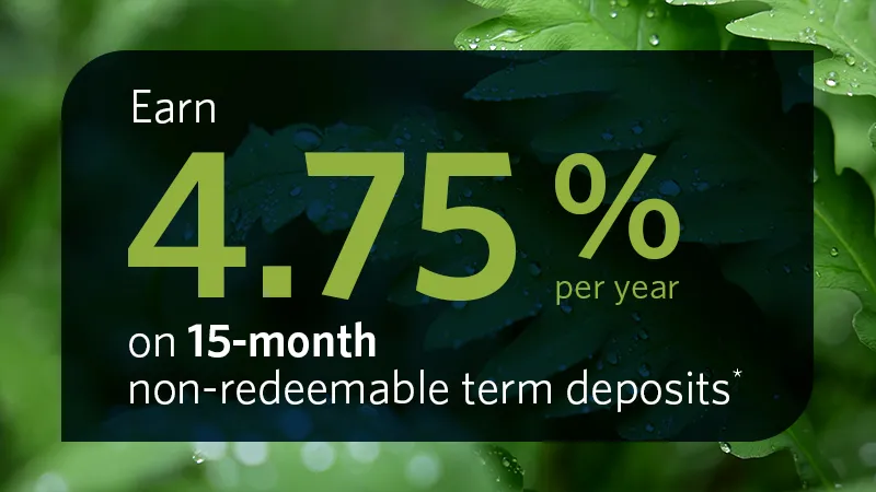 15-month non-redeemable term deposit - 4.75%
