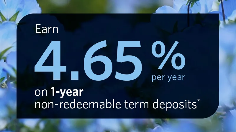 1-year non-redeemable term deposit - 4.65%