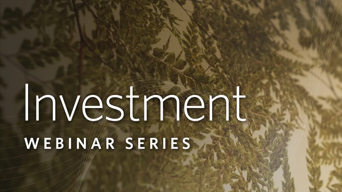 New Tax Rules on Capital Gains Webinar