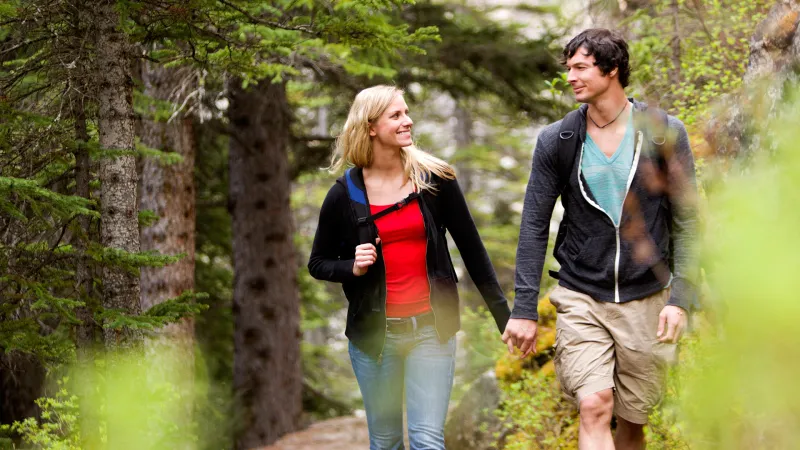 Couple walking in the woods holding hands